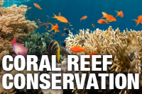 Project AWARE - Coral Reef Conservation
