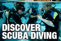 Discover Scuba Diving
