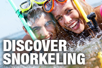Discover Snorkeling