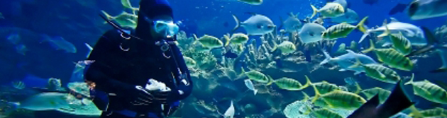Open Water